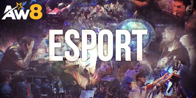 Đôi nét giới thiệu cá cược esport là gì